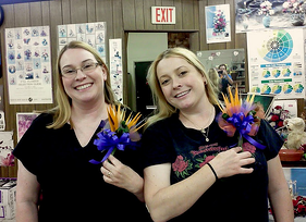 Della and Sarah bird of paradise corsage