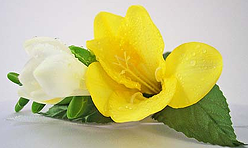 yellow white freesia boutonniere 