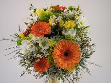 Fall Bridal Freesia gerberas