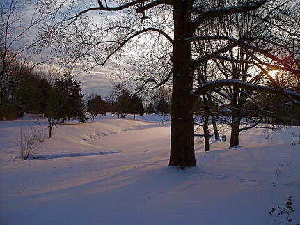 Winter Sunrise on the Gillespie Homestead