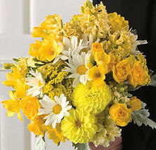 yellow Bridal indianapolis