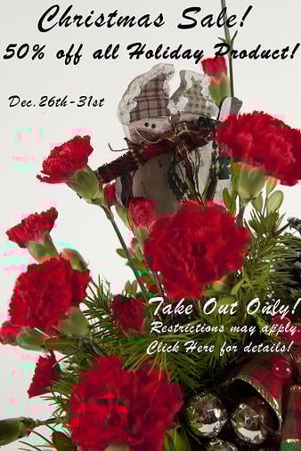 Christmas Sale 2011