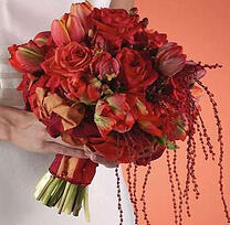 terra cotta bridal indianapolis