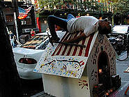 guy & doghouse