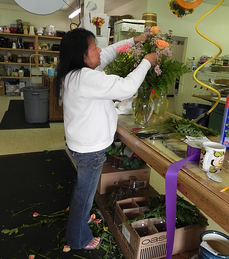 SheilaWise designing