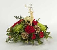 Prancer bouquet Avon, IN