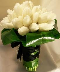images7