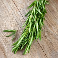 Rosemary