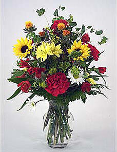 Morning Meadow Get well flower