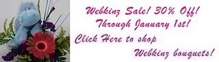 Webkinz Sale Add on