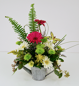 Fern Valley Watering Can
