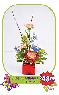 mdblog 04