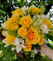 Bailey yellow rose lily bridal
