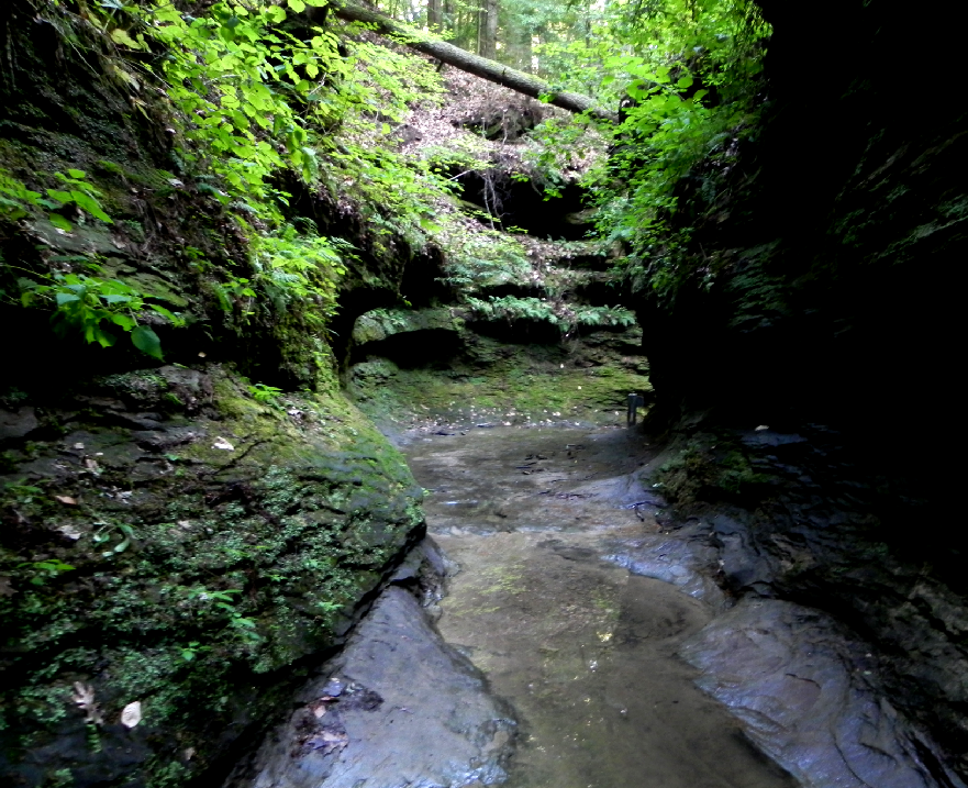 Turkey Run State Park