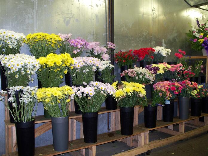 How Many Flowers Do We Sell In A Day?