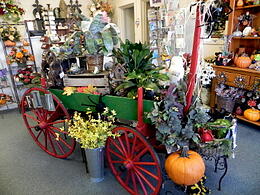Fall wagon display with plants avon, in