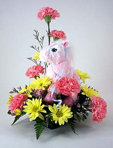 Pink Pony Webkinz Gift