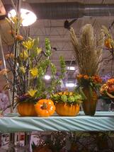 Thanksgiving Centerpiece Ideas