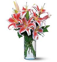 stargazer lilies in a vase