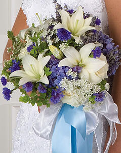 Blue & White bridal indianapolis