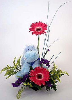 Hippo Webkinz bouquet