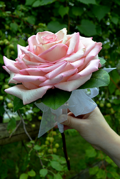 Huge Rose Bridal bouquet