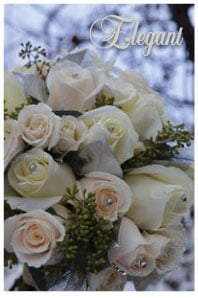 Elegant Roses Bridal Fonts