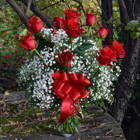 17V01_CaptivateMyLove