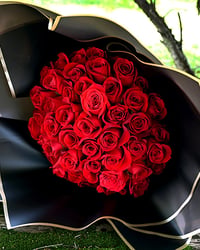 24TK03-ROSE-368