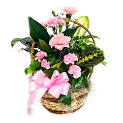 26M10-Blushing-Basket-1000