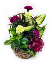 26P05-OGRADYS-GARDEN_272