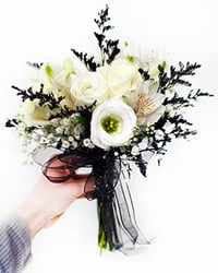 26PN09-PHANTOM-FLORA-272