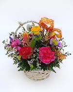 26S01-Sunrise-Success_272px