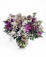 26S02-Lavender-Mist-272