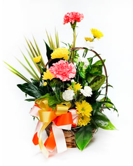 26S03-BloomsBotanicals-1080