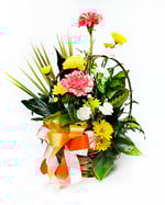 26S03-BloomsBotanicals-272