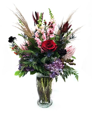 26V06-Bohemian-Rhapsody_800