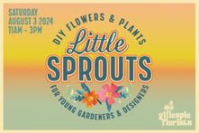 Sprouts no text