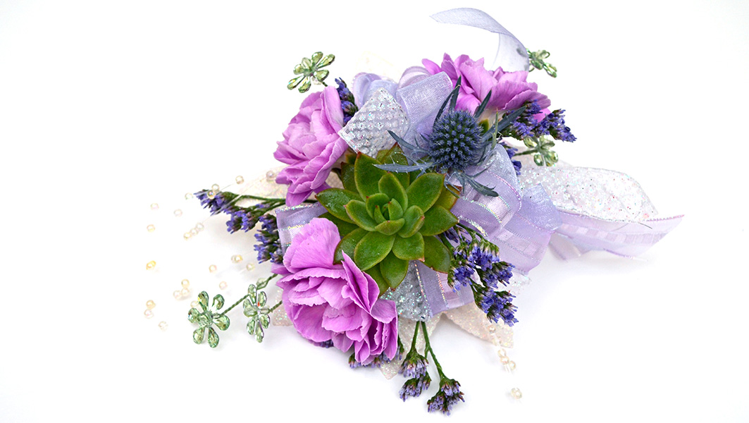 SucculentIrridescence_16PN03_1063px