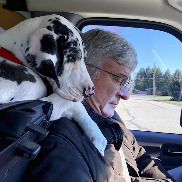 Meet Our Gillespie Florists Mascots