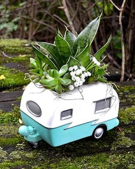 assets.eflorist.comsiteEF-12305assetsproductsPHR_sku7451583-1